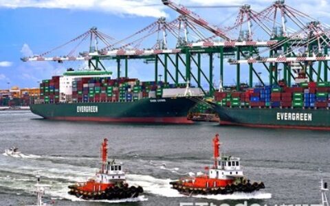 法人估長榮今年獲利年增53.68%三雄之冠　主因新增運力與脫硫塔船隊