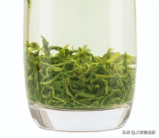 綠茶品種圖片（綠茶品種中最有代表性的是）